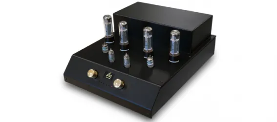 Audio Note Cobra Valve Integrated - Bristol Show Demo