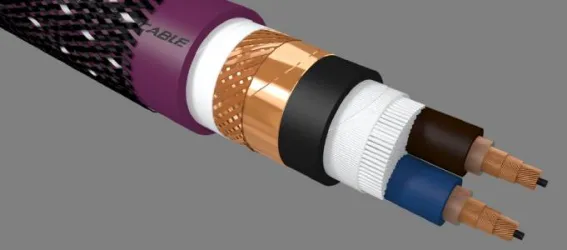 Furutech DSS-4.1 Speaker Cable Released