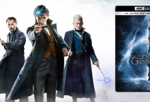 Fantastic Beasts - The Crimes of Grindewald 4K Ultra HD Blu-ray Review